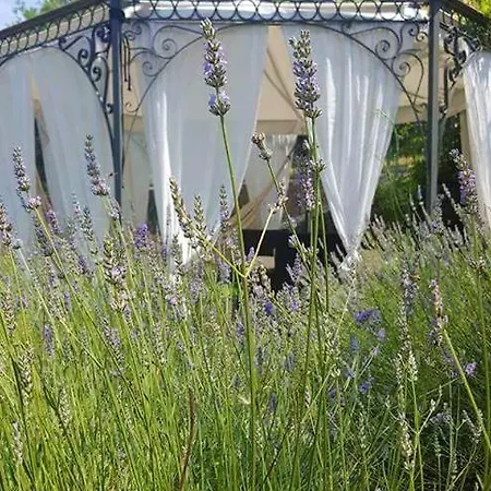 Holiday Localita Le Manie Holiday home Finale Ligure