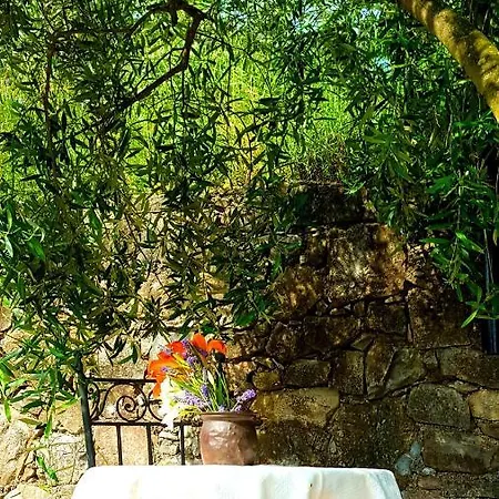 Holiday home Holiday Localita Le Manie